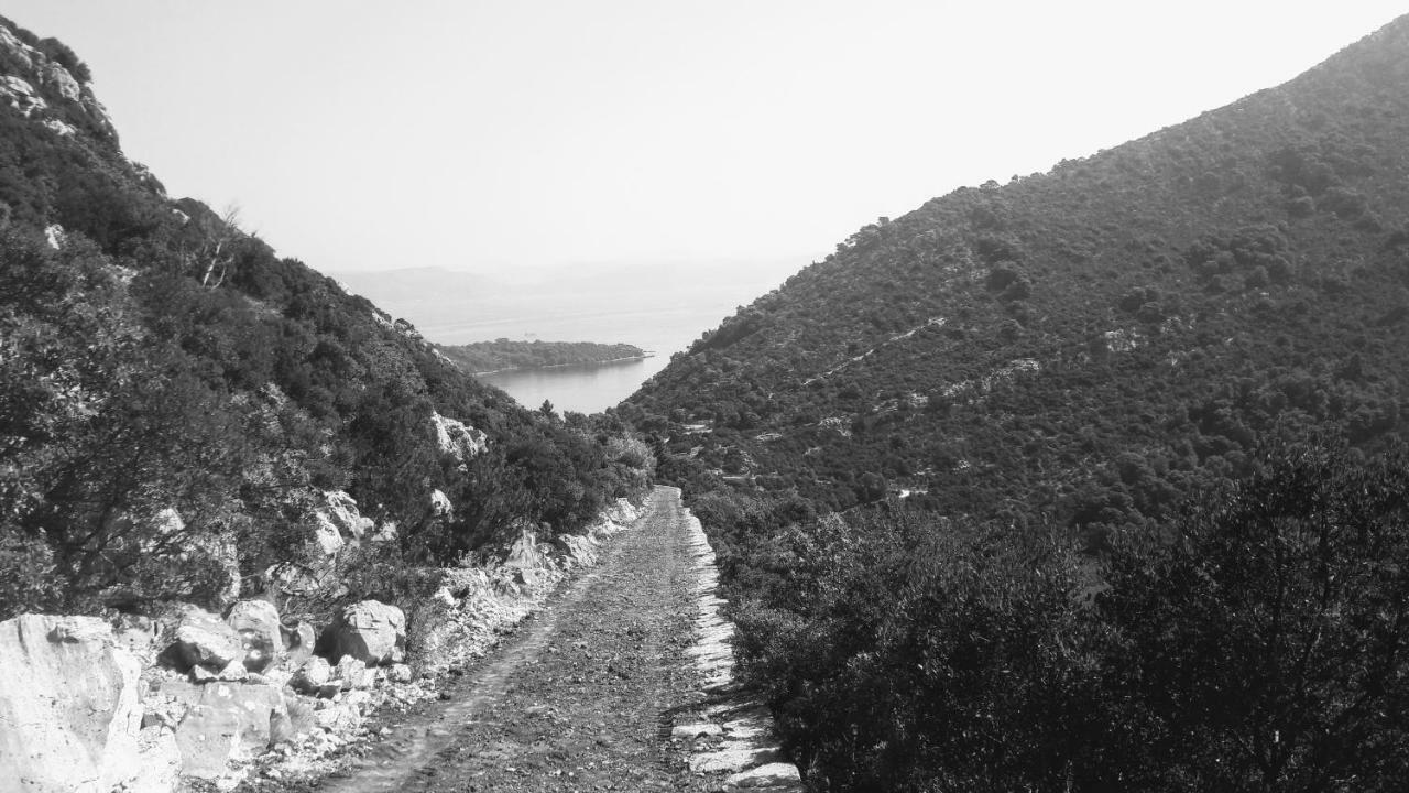 Authentic Ap For 2, Babino Polje,Mljet Appartement Buitenkant foto