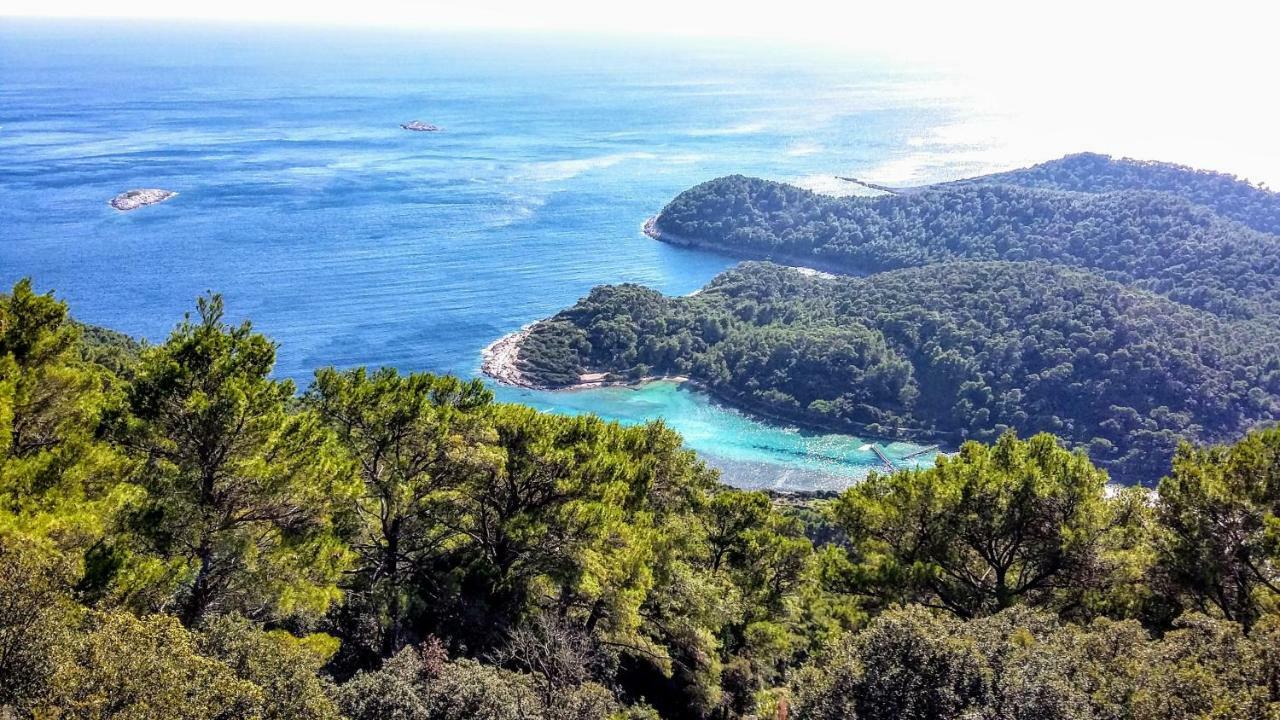 Authentic Ap For 2, Babino Polje,Mljet Appartement Buitenkant foto