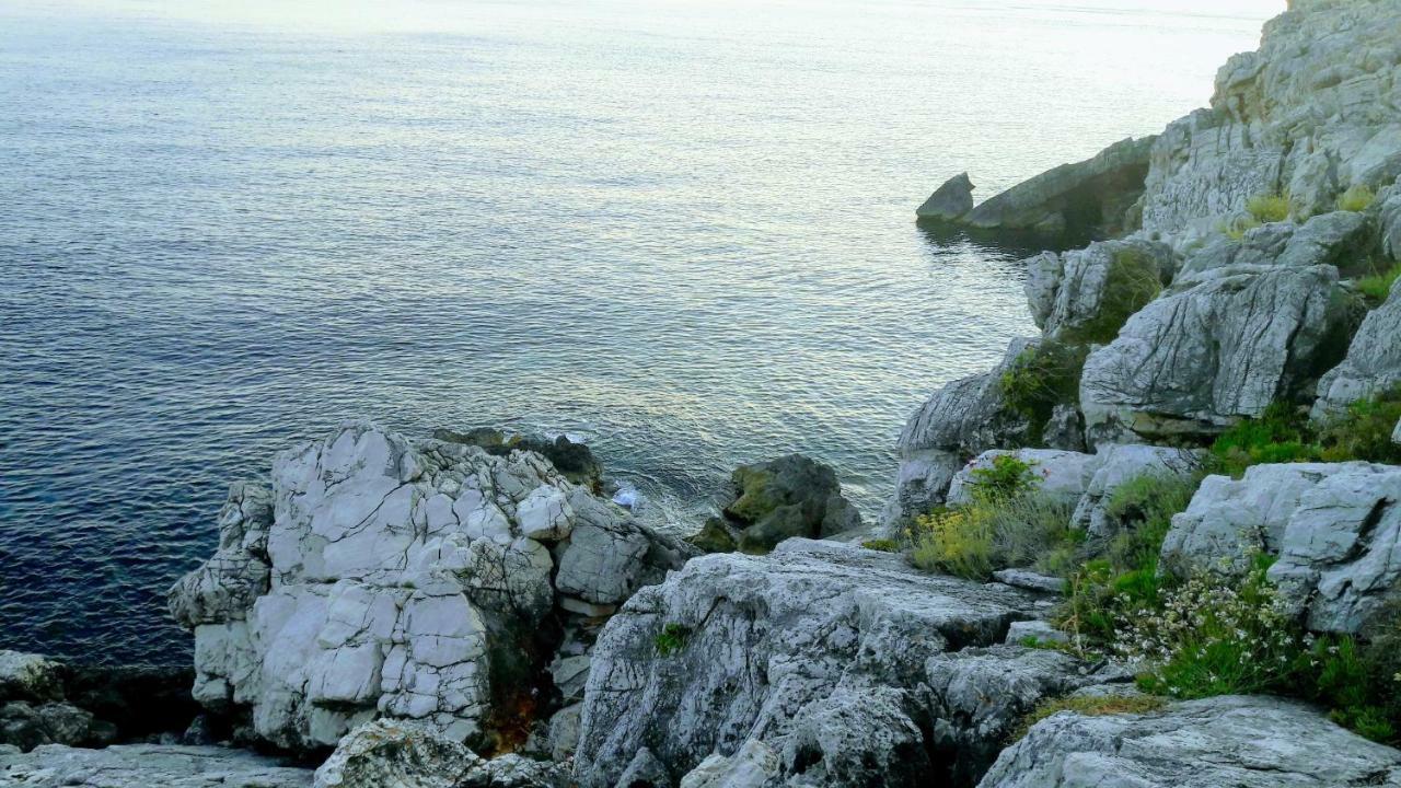 Authentic Ap For 2, Babino Polje,Mljet Appartement Buitenkant foto